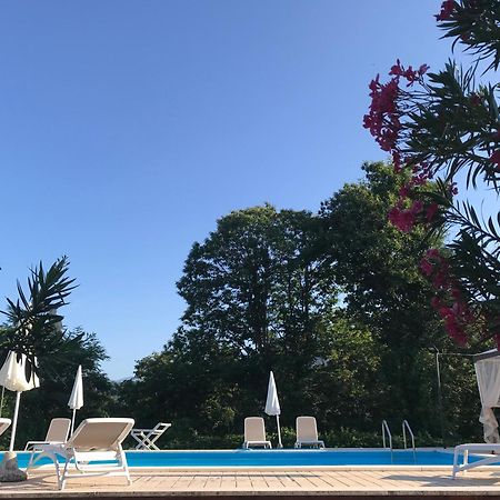 Appartamento Lussuoso 2 In Villa Riccardo Barga Eksteriør billede